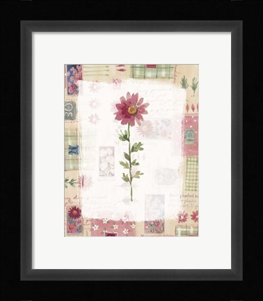 Framed Michaelmas Daisy Print