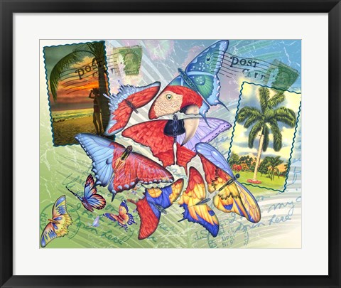Framed Butterfly Postcards Print
