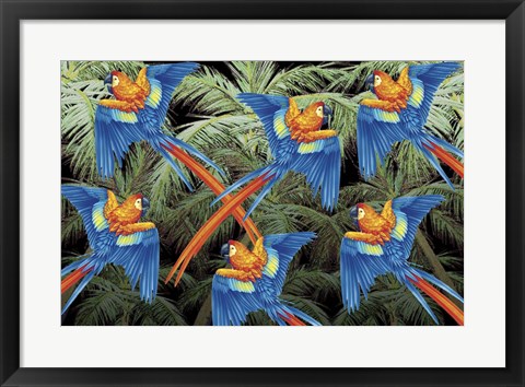 Framed Palm Parrot Print