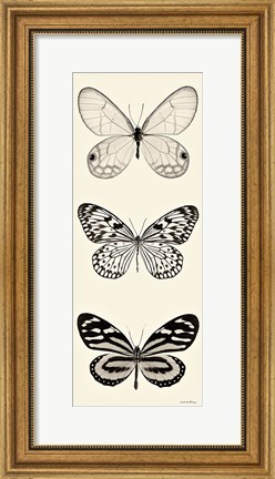 Framed Butterfly BW Panel II Print