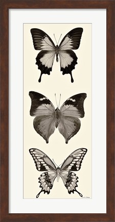Framed Butterfly BW Panel I Print