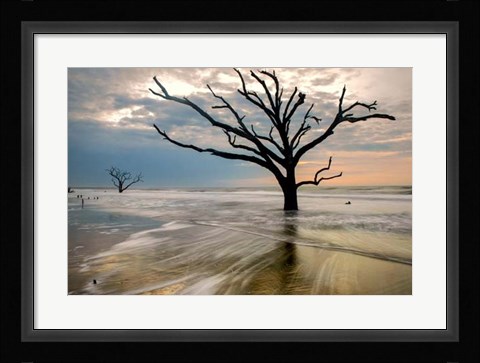 Framed Hangin On Print