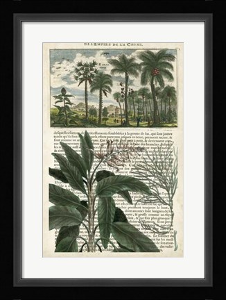 Framed Journal of the Tropics I Print