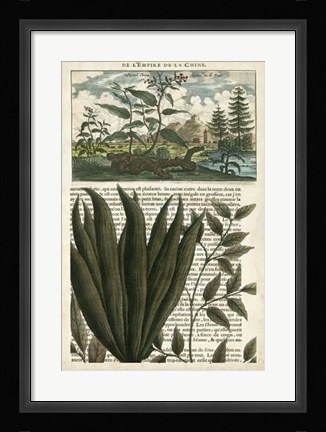 Framed Journal of the Tropics III Print