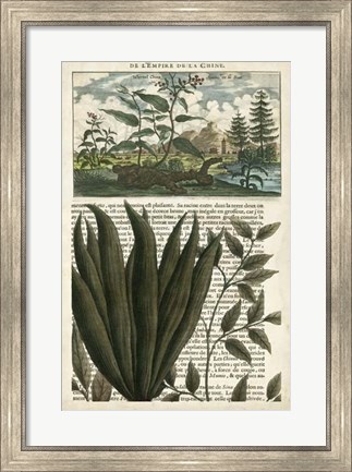 Framed Journal of the Tropics III Print
