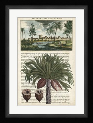 Framed Journal of the Tropics IV Print