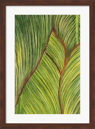 Framed Tropical Crop II Print
