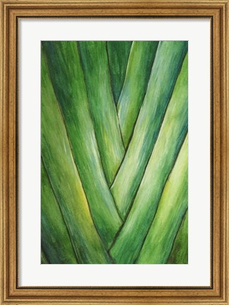 Framed Tropical Crop III Print
