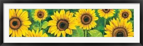 Framed Campo di Girasoli Print