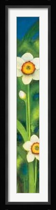 Framed Narcisi in Fiore Print