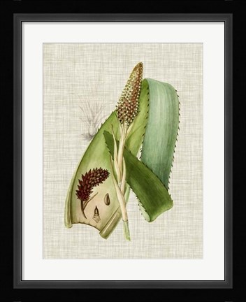 Framed Elegant Tropicals I Print