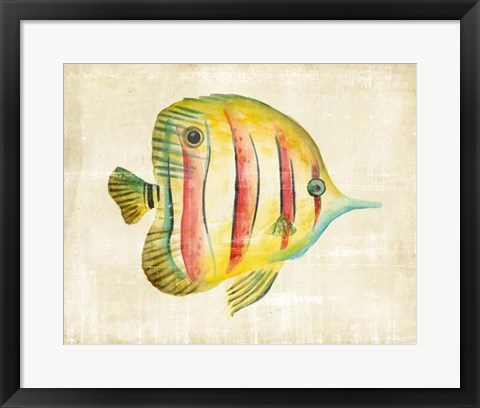 Framed Aquarium Fish III Print