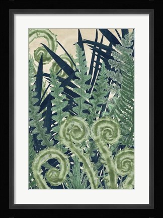Framed Fiddlehead Waltz II Print