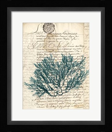 Framed Vintage Teal Seaweed I Print