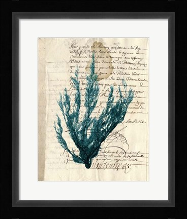 Framed Vintage Teal Seaweed II Print