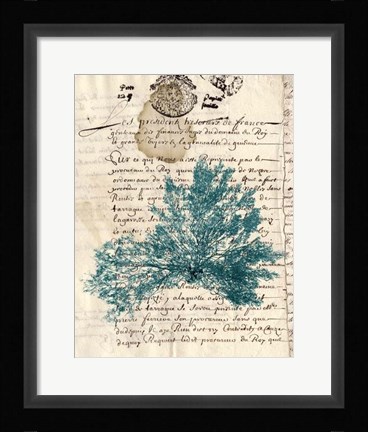 Framed Vintage Teal Seaweed III Print