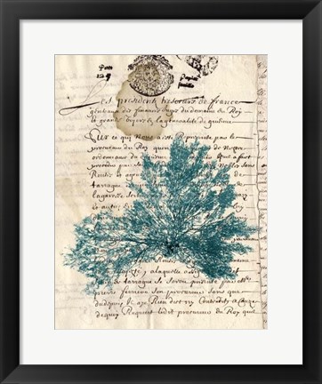 Framed Vintage Teal Seaweed III Print