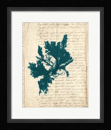 Framed Vintage Teal Seaweed IV Print