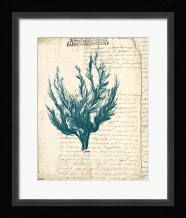 Framed Vintage Teal Seaweed V Print