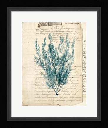 Framed Vintage Teal Seaweed VII Print