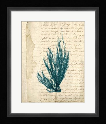 Framed Vintage Teal Seaweed IX Print