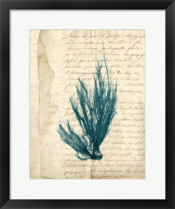 Framed Vintage Teal Seaweed IX Print