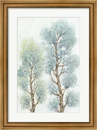 Framed Tranquil Tree Tops II Print