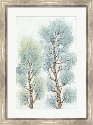 Framed Tranquil Tree Tops II Print