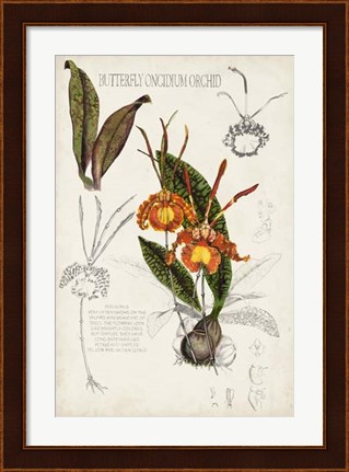 Framed Orchid Field Notes IV Print