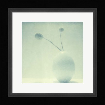 Framed Color Shade II Print