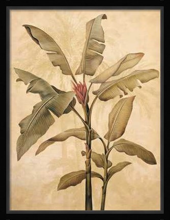 Framed Palms of the Tropics I Print