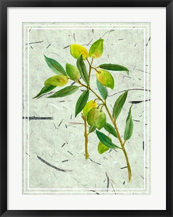 Framed Olives on Textured Paper I Print