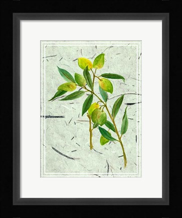 Framed Olives on Textured Paper I Print