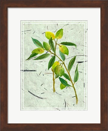 Framed Olives on Textured Paper I Print