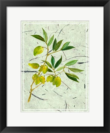 Framed Olives on Textured Paper II Print