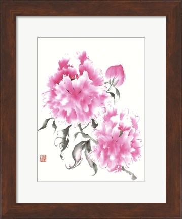 Framed Peonie Blossoms I Print