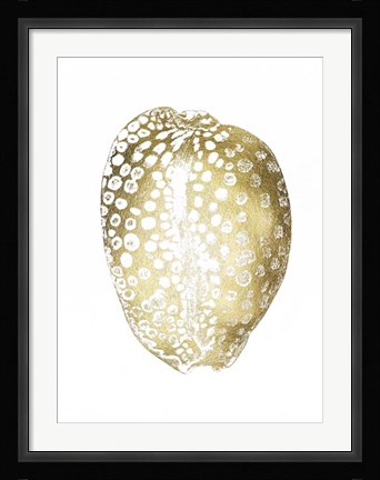 Framed Gold Foil Shell II Print