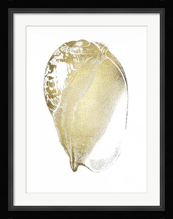 Framed Gold Foil Shell IV Print