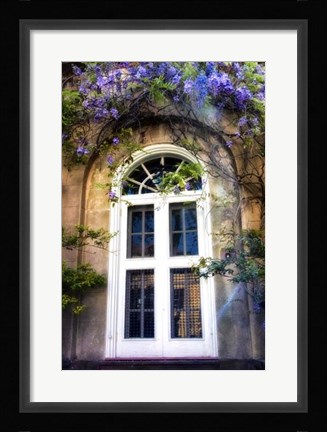 Framed Wisteria Print