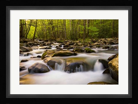 Framed Warm Morning Light Print