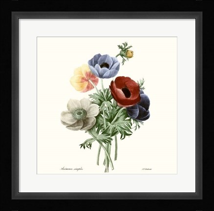 Framed Blushing Bouquet I Print