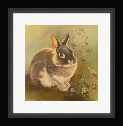 Framed Rabbit In Columbine Print