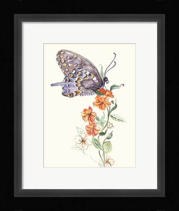 Framed Butterfly Design 1 Print