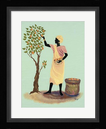 Framed Picking Mangos Print