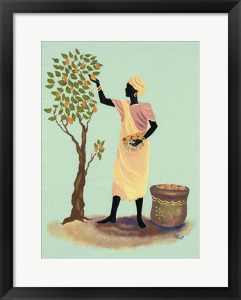 Framed Picking Mangos Print