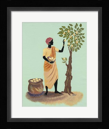 Framed Picking Pears Print
