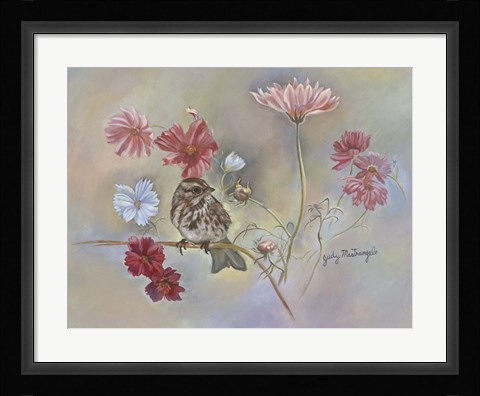 Framed Sparrow In Cosmos Flowers Print