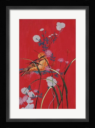 Framed Bird On Red Print