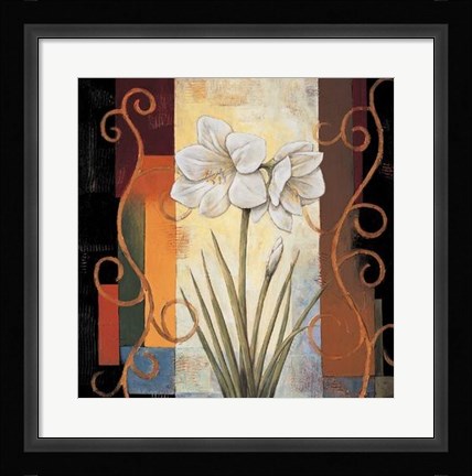 Framed Amaryllis Print