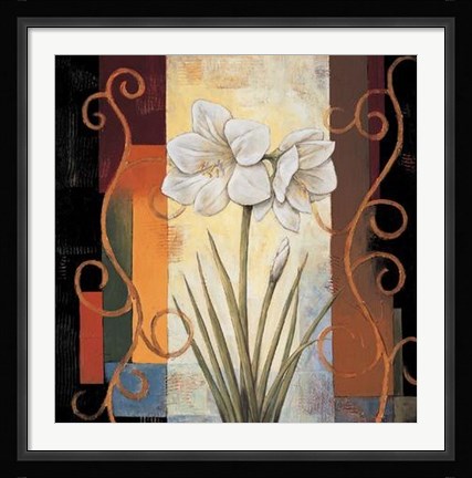 Framed Amaryllis Print